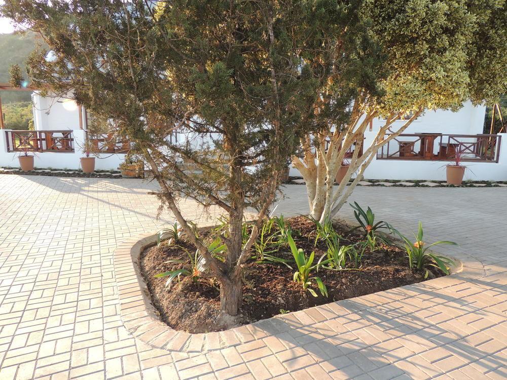 קולצ'סטר Nukakamma Guest House מראה חיצוני תמונה